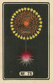 Fireworks at Night No. 78 - Jinta Hirayama — artwork view