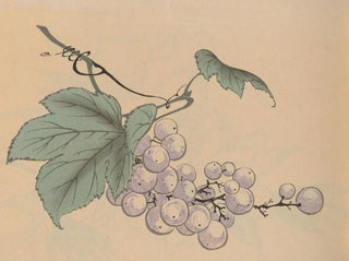 Hogajo Pl05 painting - Jiro Takeuchi — artwork view