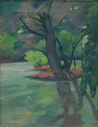 Jlius Schubert - Mtve rameno Dunaja.webp