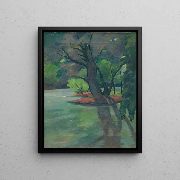 Bras Mrtve du Danube - Julius Schubert — framed artwork on a wall