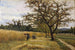 Harvest - Joaquim Vayreda — artwork view