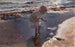 À la recherche de fruits de mer, plage de Valence - Joaquín Sorolla — artwork view