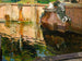 La Fontaine des Chevaux, La Granja - Joaquín Sorolla — artwork view