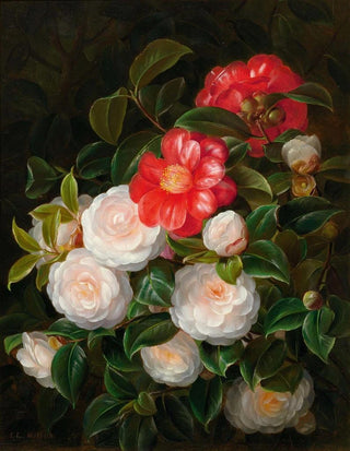 Johan Laurentz Jensen - Red and white camellias.webp