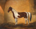 a horse in a stable - Johann Adam Klein — artwork view