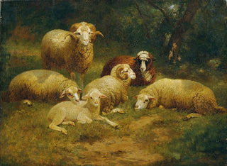 Sheep - Johann Baptist Hofner — artwork view