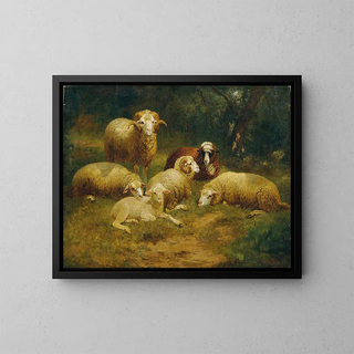 Sheep - Johann Baptist Hofner — framed artwork on a wall