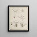 Archives de l'histoire des insectes Pl07 - Johann Caspar Füssli — framed artwork on a wall