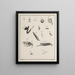 Archives de l'histoire des insectes Pl12 - Johann Caspar Füssli — framed artwork on a wall