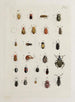 Archives of the history of insects Pl21 - Johann Caspar Füssli — artwork view