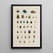 Archives of Insect History Pl24 - Johann Caspar Füssli — framed artwork on a wall