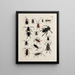 Archives of the History of Insects Pl26 - Johann Caspar Füssli — framed artwork on a wall