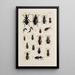 Archives de l'histoire des insectes Pl31 - Johann Caspar Füssli — framed artwork on a wall