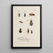 Archives of the history of insects Pl32 - Johann Caspar Füssli — framed artwork on a wall