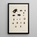 Archives de l'histoire des insectes Pl38 - Johann Caspar Füssli — framed artwork on a wall