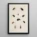 Archives de l'histoire des insectes Pl39 - Johann Caspar Füssli — framed artwork on a wall