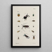 Archives of the history of insects Pl40 - Johann Caspar Füssli — framed artwork on a wall