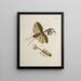 Archives de l'histoire des insectes Pl45 - Johann Caspar Füssli — framed artwork on a wall