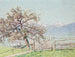 View of Dornbirn - Johann Charles Palmi — artwork view