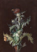 Chardon with insects - Johann Christoph Dietzsch — artwork view