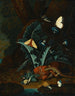 Nature morte au sol forestier avec des escargots, un lézard, une sauterelle, des papillons de nuit et un serpent - Johann Falch — artwork view