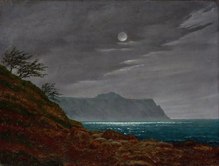 Night of Moonlight over Rgen - Johann Friedrich Boeck — artwork view