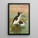 Alca impennis L Riesenalk - Johann Friedrich Naumann — framed artwork on a wall