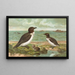 Alca torda - Johann Friedrich Naumann — framed artwork on a wall