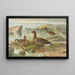 Dwarf Goose - Johann Friedrich Naumann — framed artwork on a wall