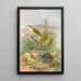 Budytes flavus - Johann Friedrich Naumann — framed artwork on a wall