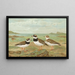 Charadrius hiaticula - Johann Friedrich Naumann — framed artwork on a wall