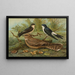 Window Swallow Painting Egyptian Nightjar Lichtenstein - Johann Friedrich Naumann — framed artwork on a wall