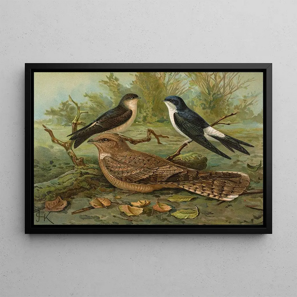 Window Swallow Painting Egyptian Nightjar Lichtenstein - Johann Friedrich Naumann — framed artwork on a wall