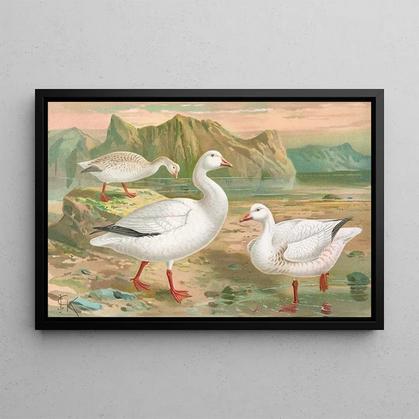 Hyperborean Chen Painting - Johann Friedrich Naumann — framed artwork on a wall