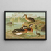 Colymbus griseigena Bodd Grebe jougris - Johann Friedrich Naumann — framed artwork on a wall