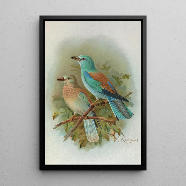 Coracias garrula - Johann Friedrich Naumann — framed artwork on a wall