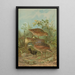 Crex crex - Johann Friedrich Naumann — framed artwork on a wall