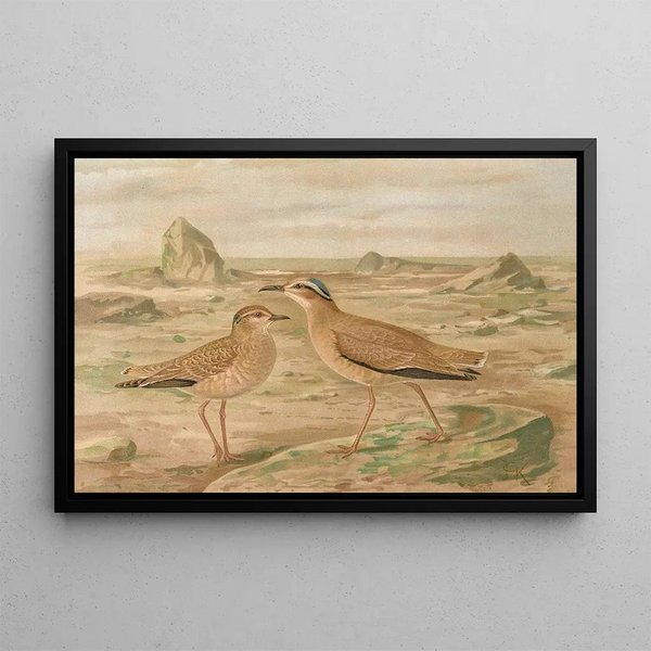 Courvite Isabelle - Johann Friedrich Naumann — framed artwork on a wall