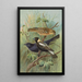 Dolichonyx oryzivorus Molothrus Cabanisii Cassin - Johann Friedrich Naumann — framed artwork on a wall