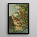 Erithacus luscinia Erithacus philomela - Johann Friedrich Naumann — framed artwork on a wall