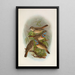 Erithacus suecicus - Johann Friedrich Naumann — framed artwork on a wall