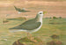 Fulmarus glacialis, fulmar petrel - Johann Friedrich Naumann — artwork view