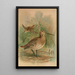 Gallinago major - Johann Friedrich Naumann — framed artwork on a wall