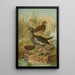 Gallinula chloropus - Johann Friedrich Naumann — framed artwork on a wall