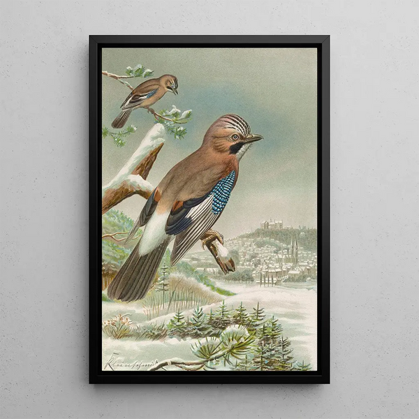 Garrulus glandarius - Johann Friedrich Naumann — framed artwork on a wall