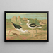 Himantopus himantopus Recurvirostra avocetta - Johann Friedrich Naumann — framed artwork on a wall