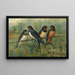 Hirundo rustica Hirundo rustica Savignii - Johann Friedrich Naumann — framed artwork on a wall