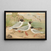 Larus minutus Pall, Larus ridibundus, Larus melanocephalus, Natt, Larus minutus Pall - Johann Friedrich Naumann — framed artwork on a wall