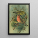 Loxia pityopsittacus Bechst - Johann Friedrich Naumann — framed artwork on a wall