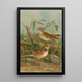 Melanocorypha calandra Lullula arborea - Johann Friedrich Naumann — framed artwork on a wall